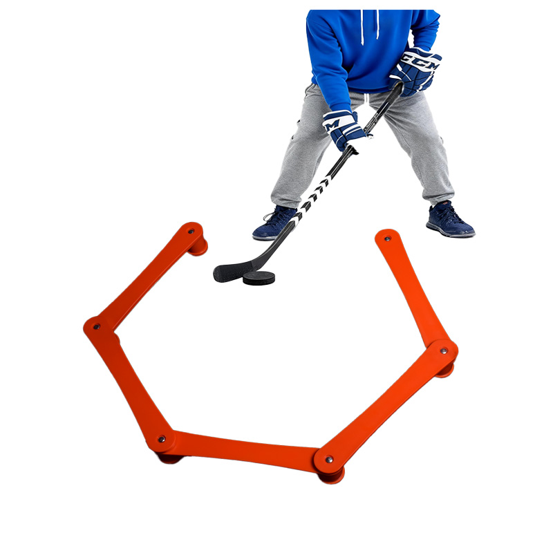 Customized Ice Hockey Training