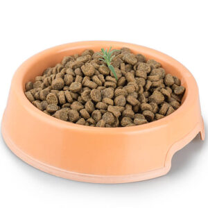 eco-friendly injection-molded pet bowl case