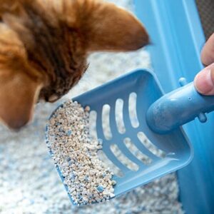 Customized Plastic Injection-Molded Pet Litter Scoop