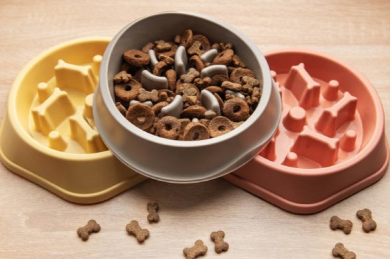 Silicone Injection-Molded Pet Bowls