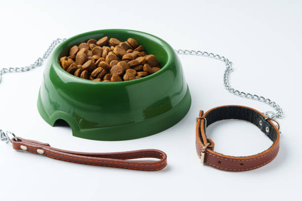 injection-molded pet bowls