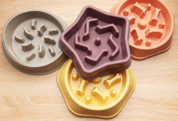 injection-molded pet slow feeder bowls