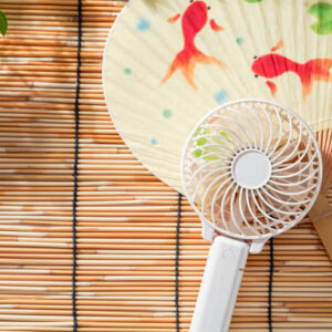 portable fan mold manufacturing