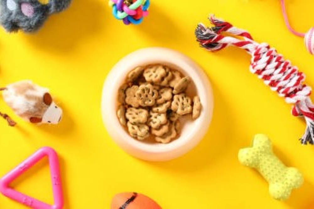 silicone suction pet bowl