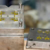 The Color Change Trap in Hot Runner Injection Molding
